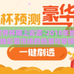 2018年世界杯网上彩票-2018年世界杯，在线彩票市场的热潮与审视