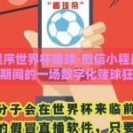 微信小程序世界杯赌球-微信小程序，世界杯期间的一场数字化赌球狂欢