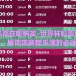 世界杯彩票在哪购买-世界杯彩票购买指南，解锁观赛新乐趣的必读