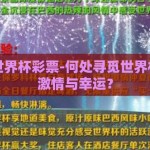 去哪买世界杯彩票-何处寻觅世界杯彩票的激情与幸运？