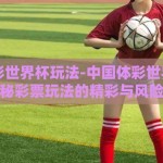 中国体彩世界杯玩法-中国体彩世界杯，揭秘彩票玩法的精彩与风险