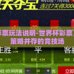 世界杯彩票玩法说明-世界杯彩票，乐趣与策略并存的竞技场