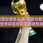 世界杯冠军彩票怎么买-热爱与智慧的碰撞，揭秘世界杯冠军彩票的理性购买之道