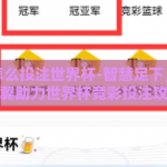 支付宝怎么投注世界杯-智慧足下，支付宝之翼助力世界杯竞彩投注攻略