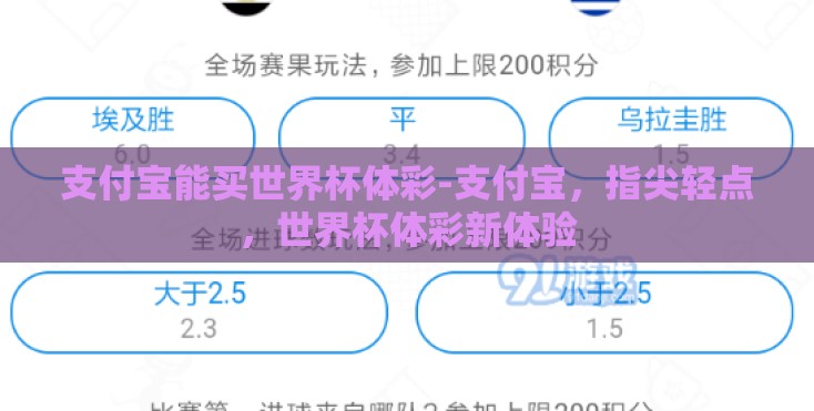 支付宝能买世界杯体彩-支付宝，指尖轻点，世界杯体彩新体验