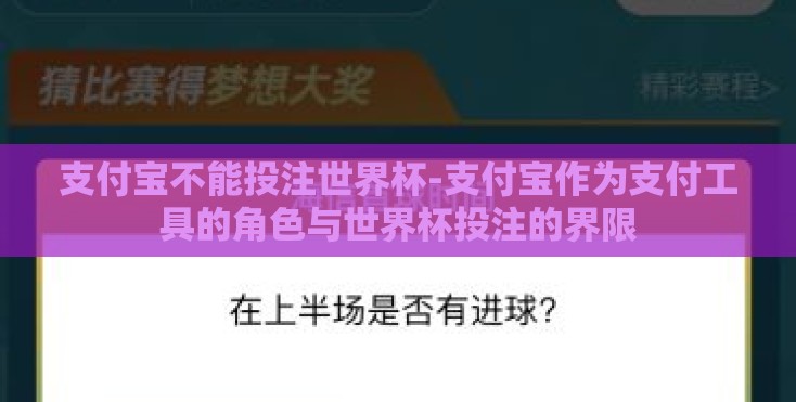 支付宝不能投注世界杯-支付宝作为支付工具的角色与世界杯投注的界限 支付宝不能投注世界杯-支付宝作为支付工具的角色与世界杯投注的界限