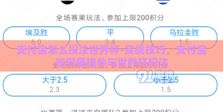 支付宝怎么投注世界杯-实战技巧，支付宝如何便捷参与世界杯投注
