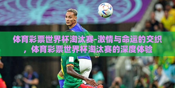 体育彩票世界杯淘汰赛-激情与命运的交织，体育彩票世界杯淘汰赛的深度体验