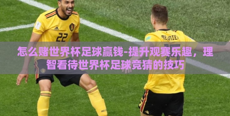 怎么赌世界杯足球赢钱-提升观赛乐趣,理智看待世界杯足球竞猜的技巧 怎么赌世界杯足球赢钱-提升观赛乐趣,理智看待世界杯足球竞猜的技巧