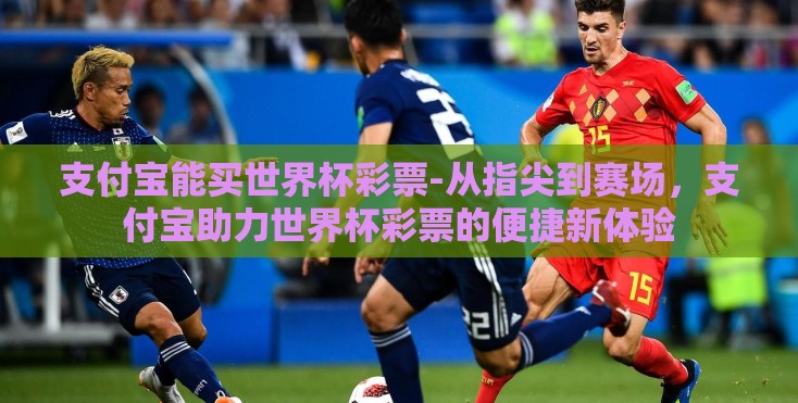 支付宝能买世界杯彩票-从指尖到赛场，支付宝助力世界杯彩票的便捷新体验