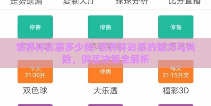 世界杯彩票多少钱-世界杯彩票的魅力与风险,购买决策全解析 世界杯彩票多少钱-世界杯彩票的魅力与风险,购买决策全解析