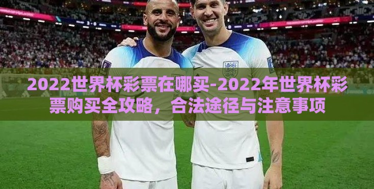 2022世界杯彩票在哪买-2022年世界杯彩票购买全攻略，合法途径与注意事项