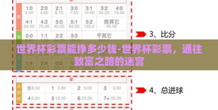 世界杯彩票能挣多少钱-世界杯彩票，通往致富之路的迷宫