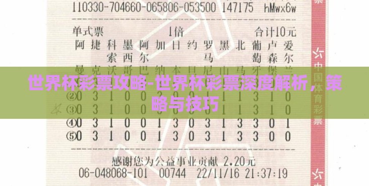 世界杯彩票攻略-世界杯彩票深度解析，策略与技巧