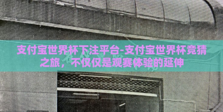 支付宝世界杯下注平台-支付宝世界杯竞猜之旅，不仅仅是观赛体验的延伸