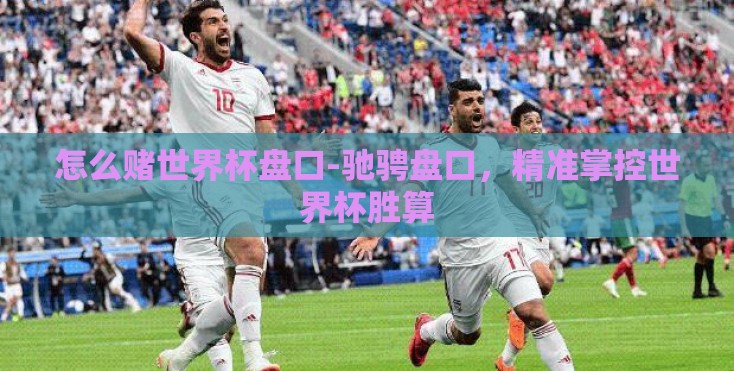 怎么赌世界杯盘口-驰骋盘口，精准掌控世界杯胜算