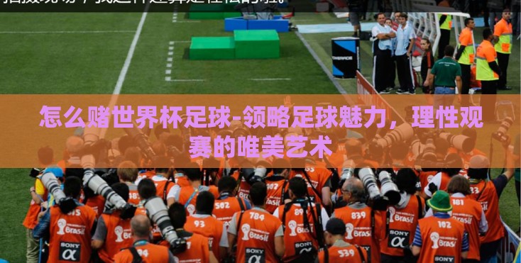 怎么赌世界杯足球-领略足球魅力,理性观赛的唯美艺术 怎么赌世界杯足球-领略足球魅力,理性观赛的唯美艺术