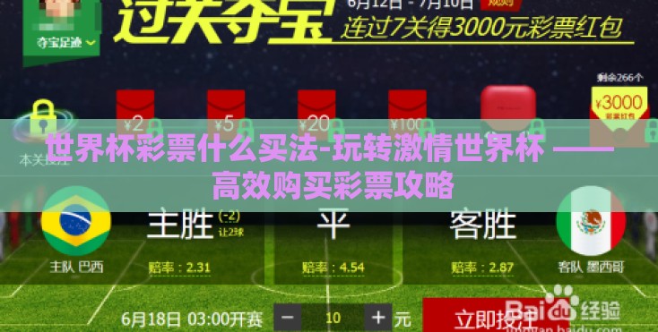 世界杯彩票什么买法-玩转激情世界杯 —— 高效购买彩票攻略