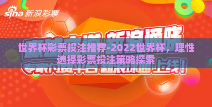 世界杯彩票投注推荐-2022世界杯，理性选择彩票投注策略探索