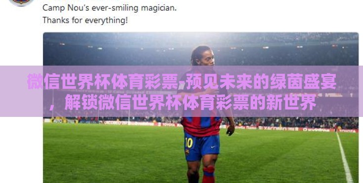 微信世界杯体育彩票-预见未来的绿茵盛宴，解锁微信世界杯体育彩票的新世界