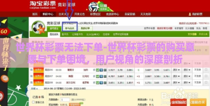 世界杯彩票无法下单-世界杯彩票的购买意愿与下单困境，用户视角的深度剖析