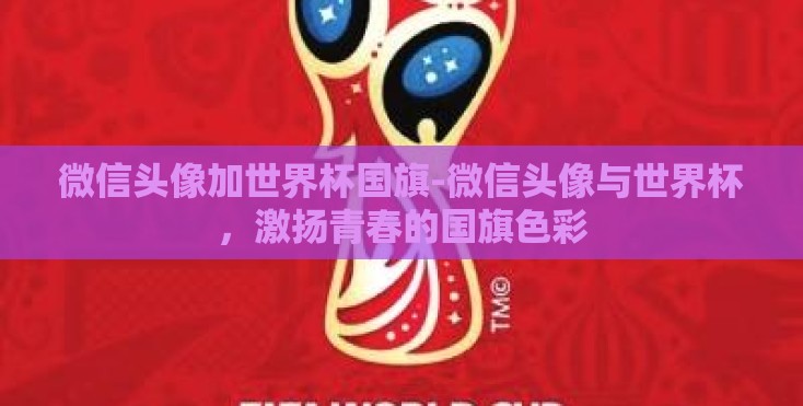 微信头像加世界杯国旗-微信头像与世界杯，激扬青春的国旗色彩
