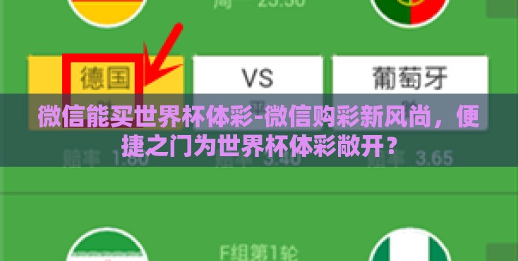 微信能买世界杯体彩-微信购彩新风尚，便捷之门为世界杯体彩敞开？