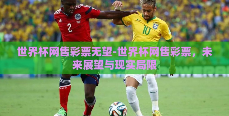 世界杯网售彩票无望-世界杯网售彩票，未来展望与现实局限