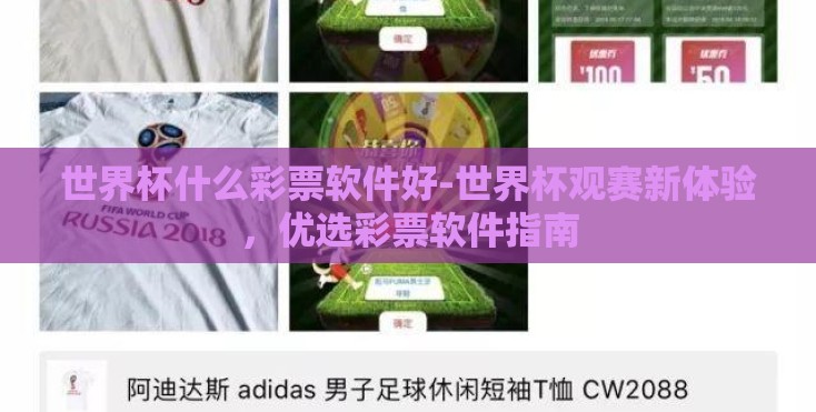 世界杯什么彩票软件好-世界杯观赛新体验，优选彩票软件指南