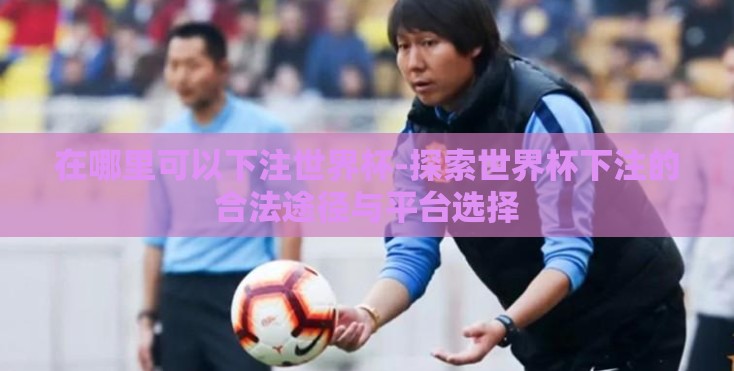 在哪里可以下注世界杯-探索世界杯下注的合法途径与平台选择