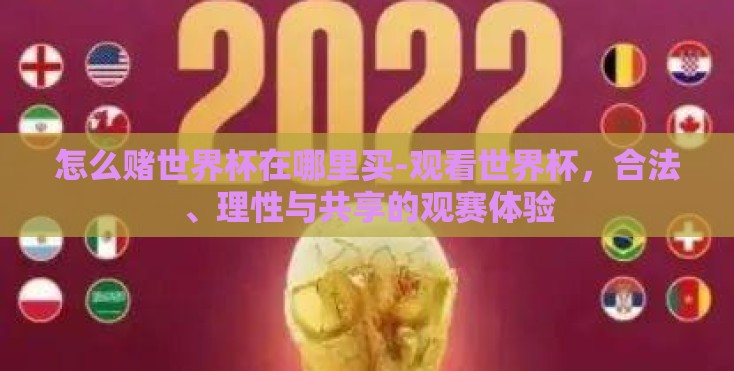 怎么赌世界杯在哪里买-观看世界杯，合法、理性与共享的观赛体验