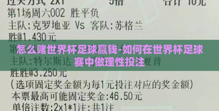 怎么赌世界杯足球赢钱-如何在世界杯足球赛中做理性投注