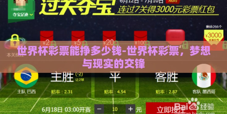 世界杯彩票能挣多少钱-世界杯彩票，梦想与现实的交锋