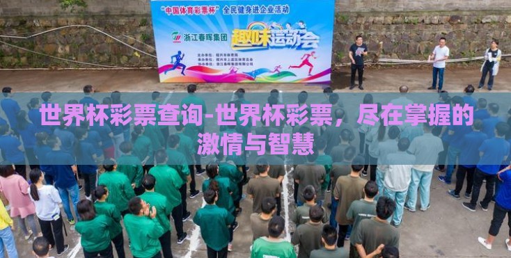 世界杯彩票查询-世界杯彩票，尽在掌握的激情与智慧
