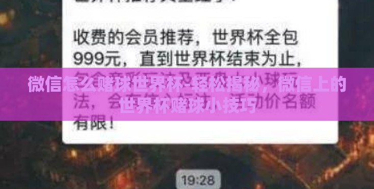 微信怎么赌球世界杯-轻松揭秘，微信上的世界杯赌球小技巧