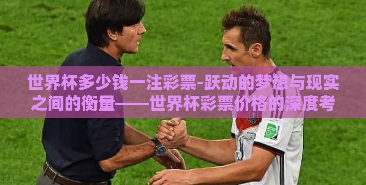 世界杯多少钱一注彩票-跃动的梦想与现实之间的衡量——世界杯彩票价格的深度考量