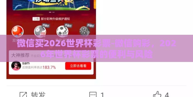 微信买2026世界杯彩票-微信购彩，2026年世界杯彩票的便利与风险