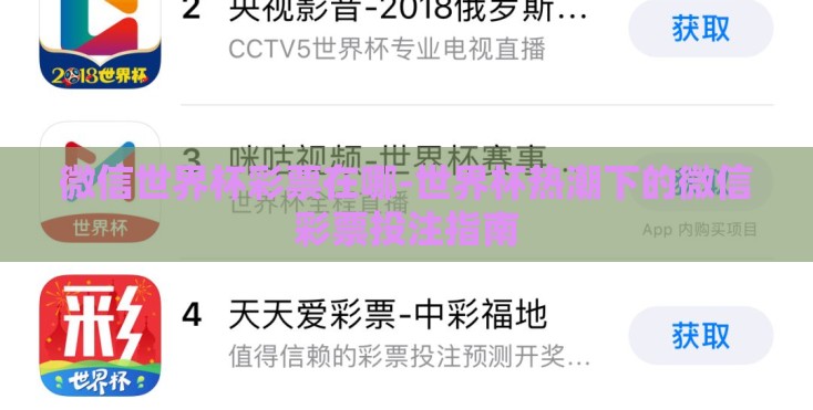 微信世界杯彩票在哪-世界杯热潮下的微信彩票投注指南