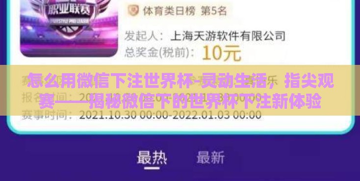 怎么用微信下注世界杯-灵动生活，指尖观赛——揭秘微信下的世界杯下注新体验