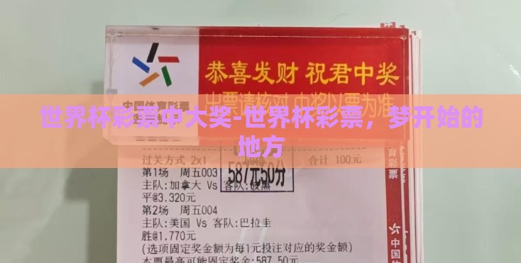 世界杯彩票中大奖-世界杯彩票，梦开始的地方