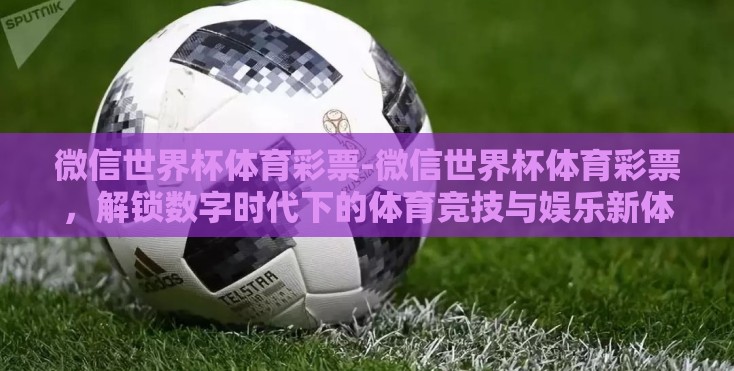 微信世界杯体育彩票-微信世界杯体育彩票，解锁数字时代下的体育竞技与娱乐新体验