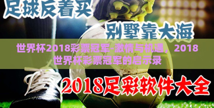 世界杯2018彩票冠军-激情与机遇，2018世界杯彩票冠军的启示录