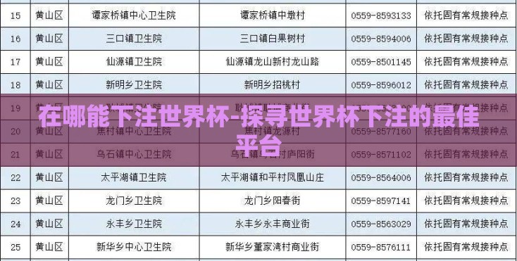 在哪能下注世界杯-探寻世界杯下注的最佳平台 在哪能下注世界杯-探寻世界杯下注的最佳平台