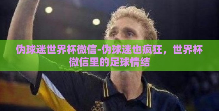 伪球迷世界杯微信-伪球迷也疯狂，世界杯微信里的足球情结