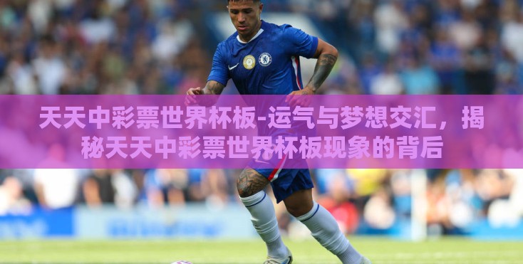 天天中彩票世界杯板-运气与梦想交汇，揭秘天天中彩票世界杯板现象的背后