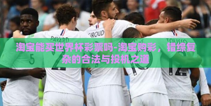 淘宝能买世界杯彩票吗-淘宝购彩，错综复杂的合法与投机之道
