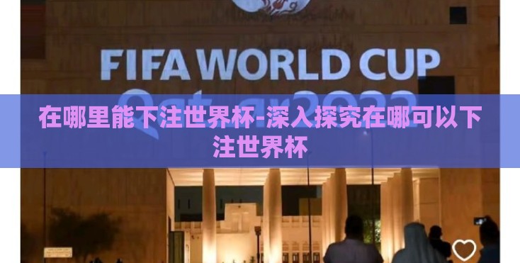 在哪里能下注世界杯-深入探究在哪可以下注世界杯