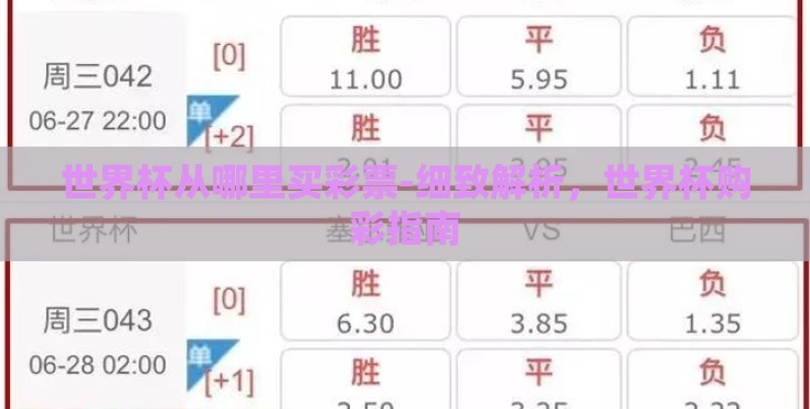 世界杯从哪里买彩票-细致解析,世界杯购彩指南 世界杯从哪里买彩票-细致解析,世界杯购彩指南
