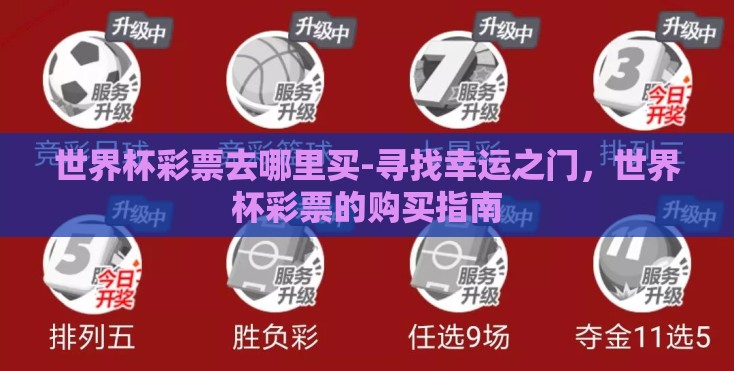 世界杯彩票去哪里买-寻找幸运之门，世界杯彩票的购买指南