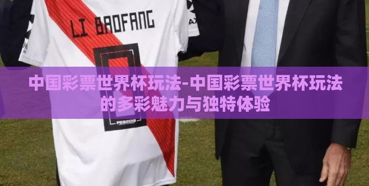 中国彩票世界杯玩法-中国彩票世界杯玩法的多彩魅力与独特体验